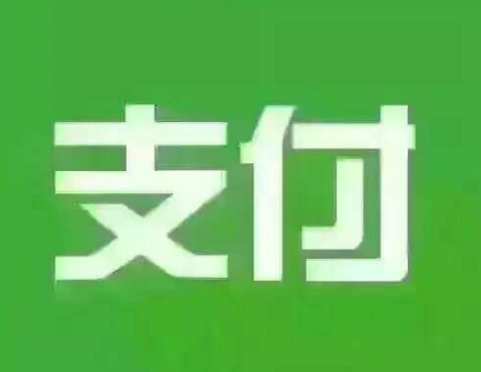 支付