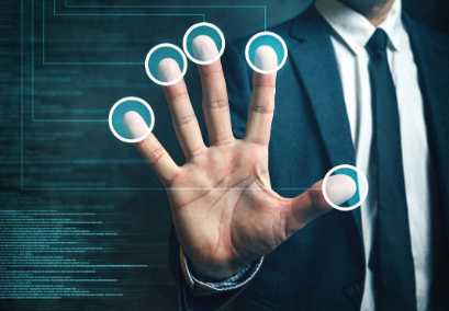 生物識別模擬描述