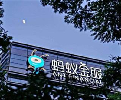 timg (59)_副本.jpg